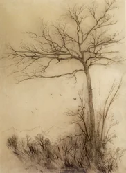 Vögel fliegen nach Süden - Conway